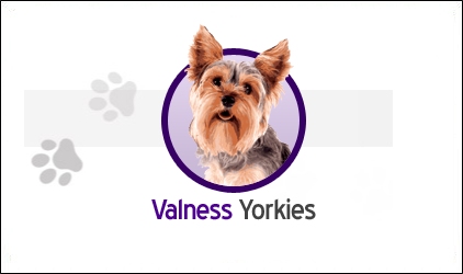 Valness Yorkies Logo