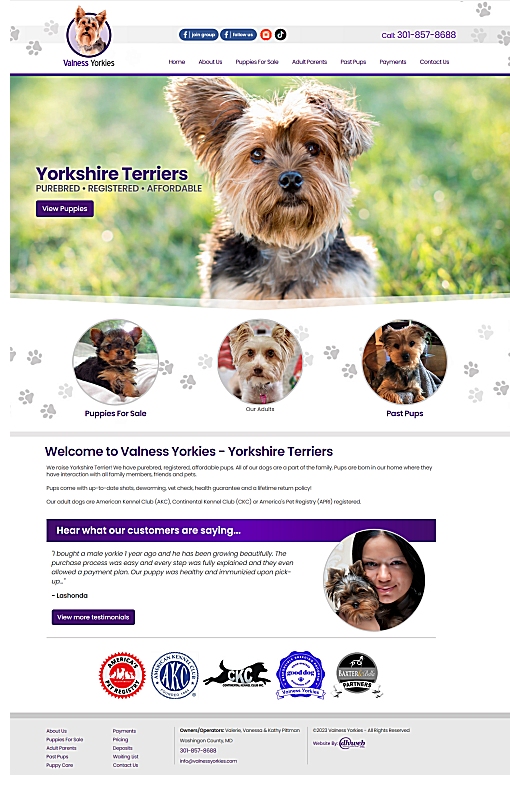 Yorkshire Terrier Puppies For Sale