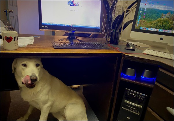 Sand under desk.